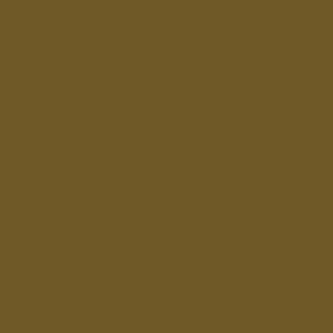 Little Greene Light Bronze Green 123 paint colour swatch