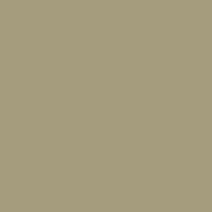 Little Greene Portland Stone - Dark 157 paint colour swatch