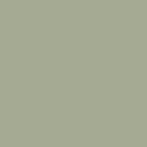 Little Greene Boringdon Green 295 paint colour swatch