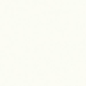 Little Greene Silent White - Pale 328 paint colour swatch
