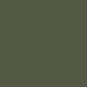Little Greene Oilcloth 362 paint colour swatch