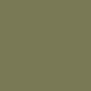 Little Greene Hillside 371 paint colour swatch
