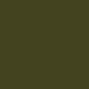 Little Greene Olive Colour 72 paint colour swatch
